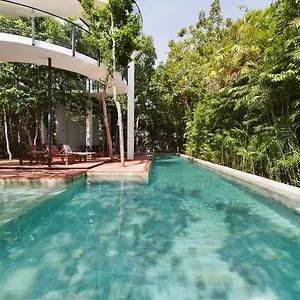 https://new-private-pool-jacuzzi-luxury-4br-jungle-tulum.quintano-roohotels.com